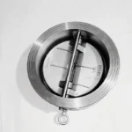 Wafer Dual Plate Check Valve