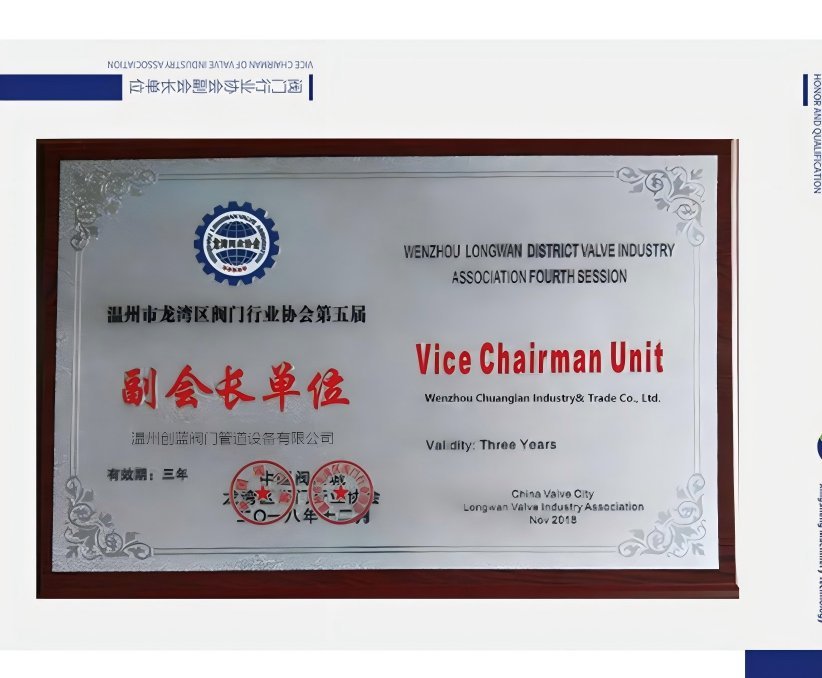 Industry Association Vice Chairman